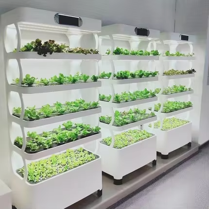 Greenhouse Mini Indoor - Mini hydroponiczny system do uprawy roślin