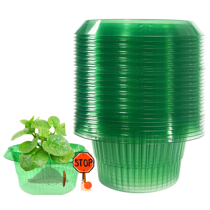 Gardening Tools Green - 5-25 sztuk rośliny pierścienie zabezpieczające przed