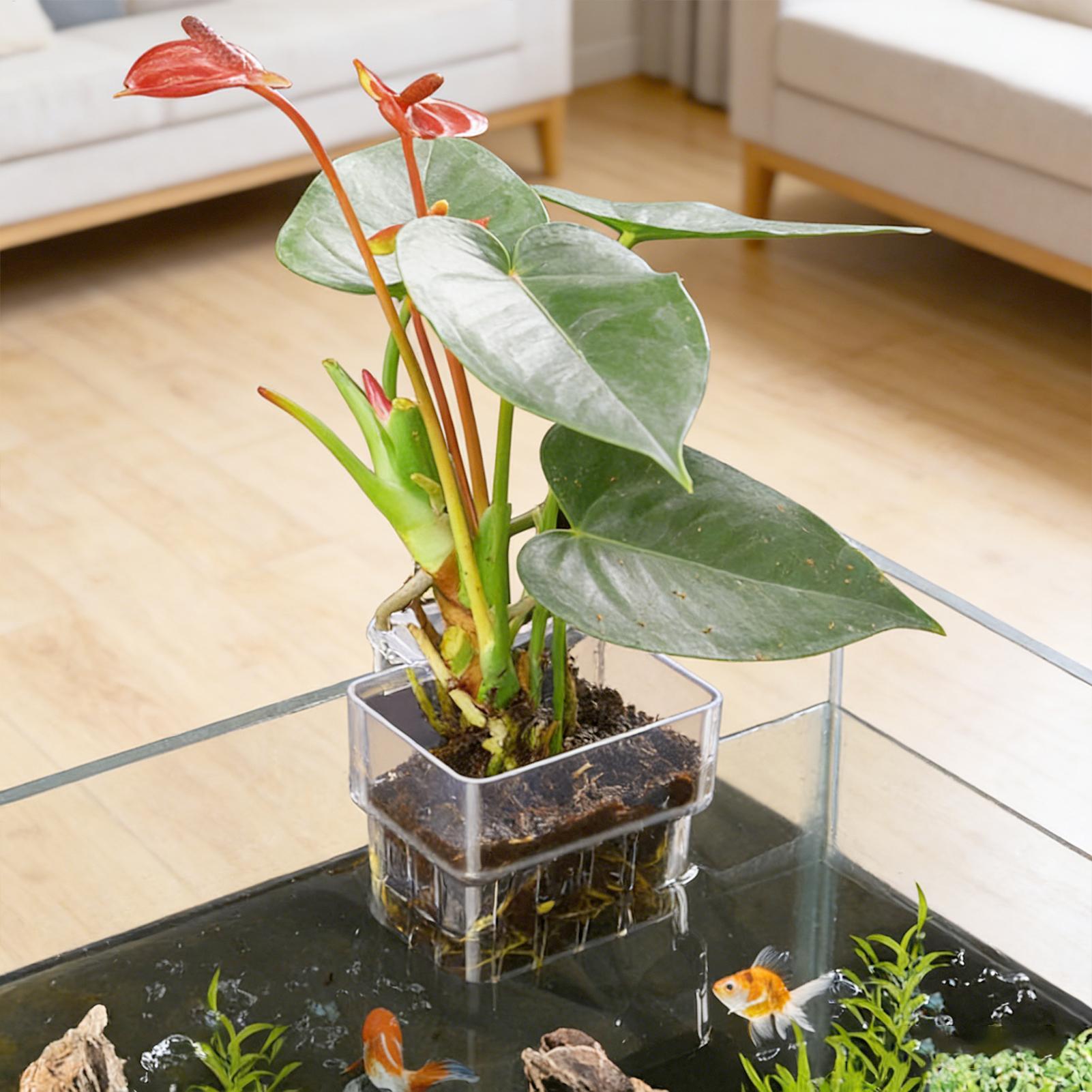 Hanging Planter Basket - Kosz na rośliny akwariowe Przezroczysty wiszący