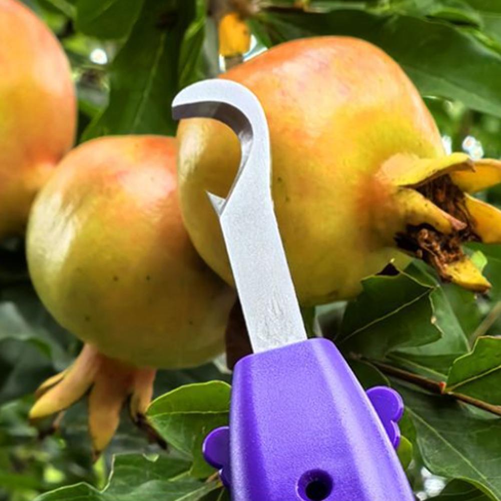 Sekatory ogrodnicze, narzędzia – Gardening Tools Scissors recenzja i cena