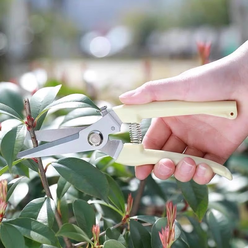 Elektryczne nożyce do przycina – Gardening Tools Pink recenzja i cena