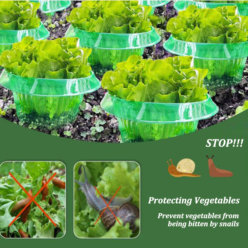 5-25 sztuk rośliny pierścienie – Gardening Tools Green recenzja i cena