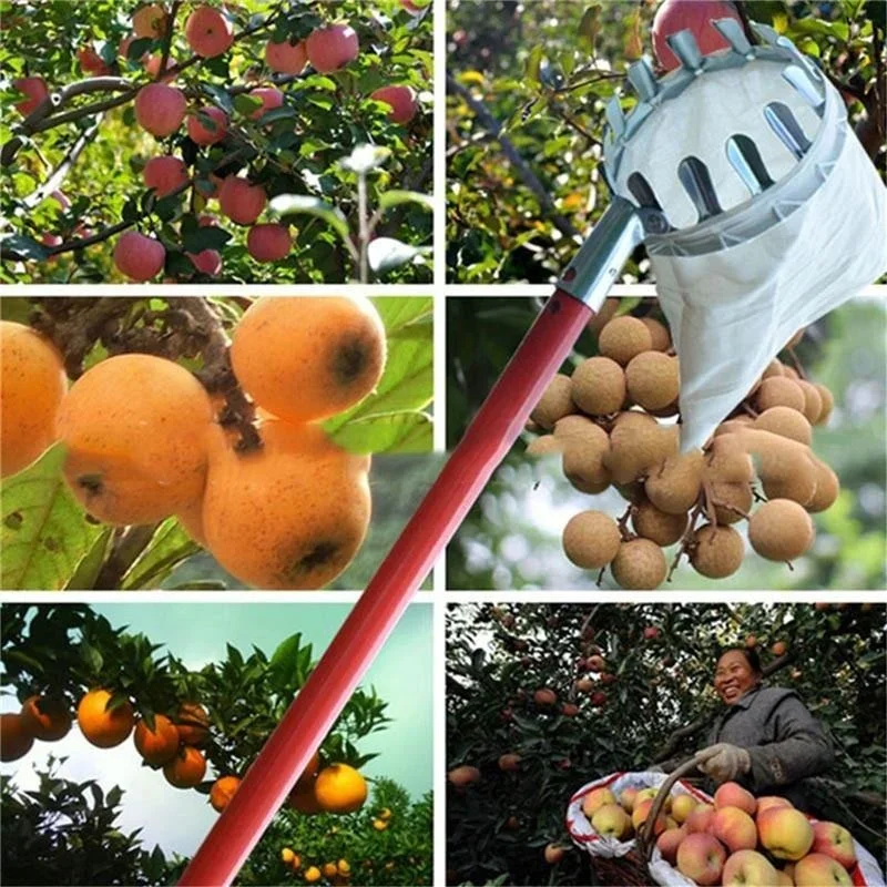 Zbierak do owoców ogrodowych,  – Gardening Tools Scissors recenzja i cena
