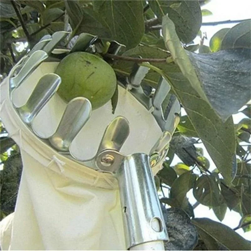 Zbierak do owoców ogrodowych,  – Gardening Tools Scissors recenzja i cena