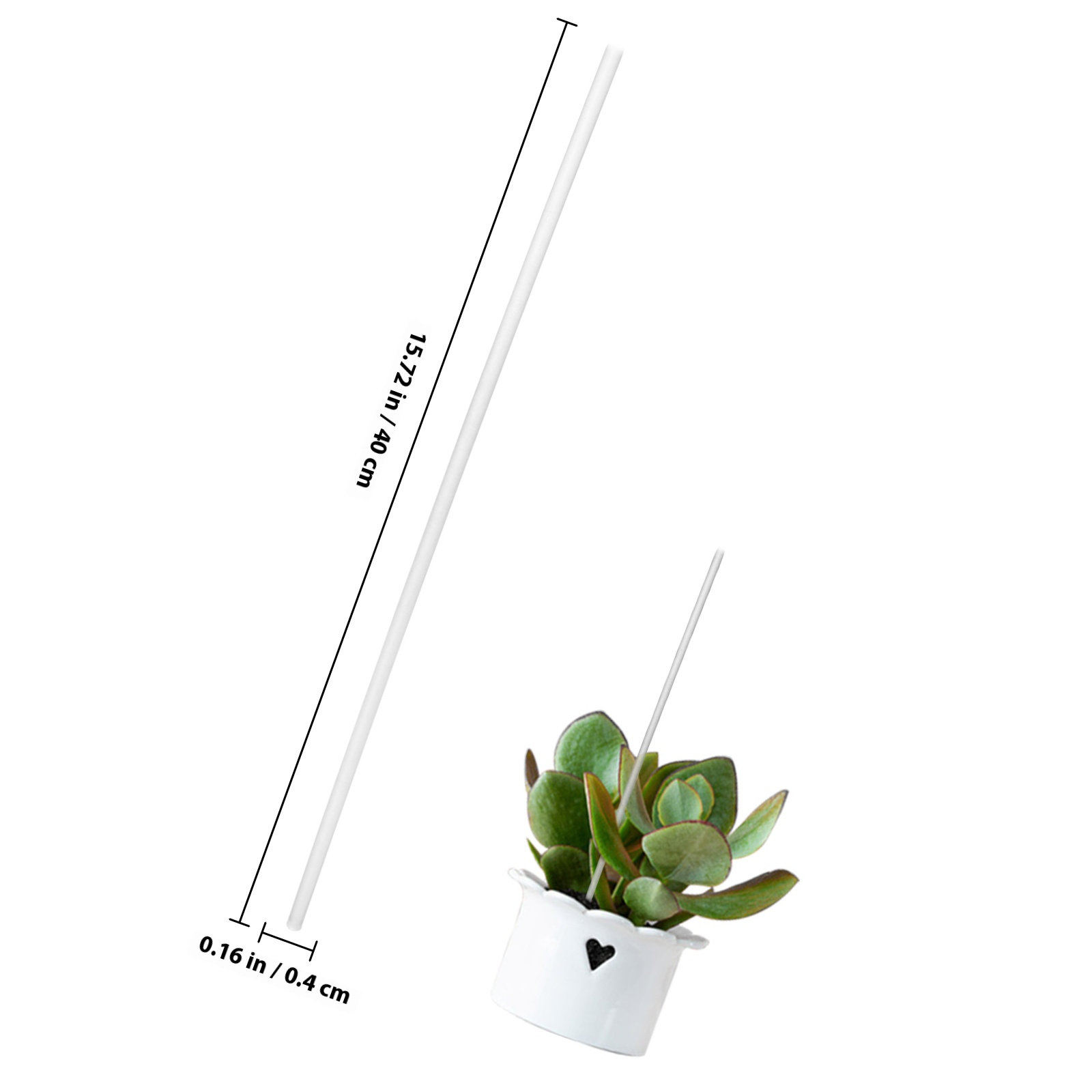 1 zestaw przezroczystych akryl – Gardening Tools Required recenzja i cena