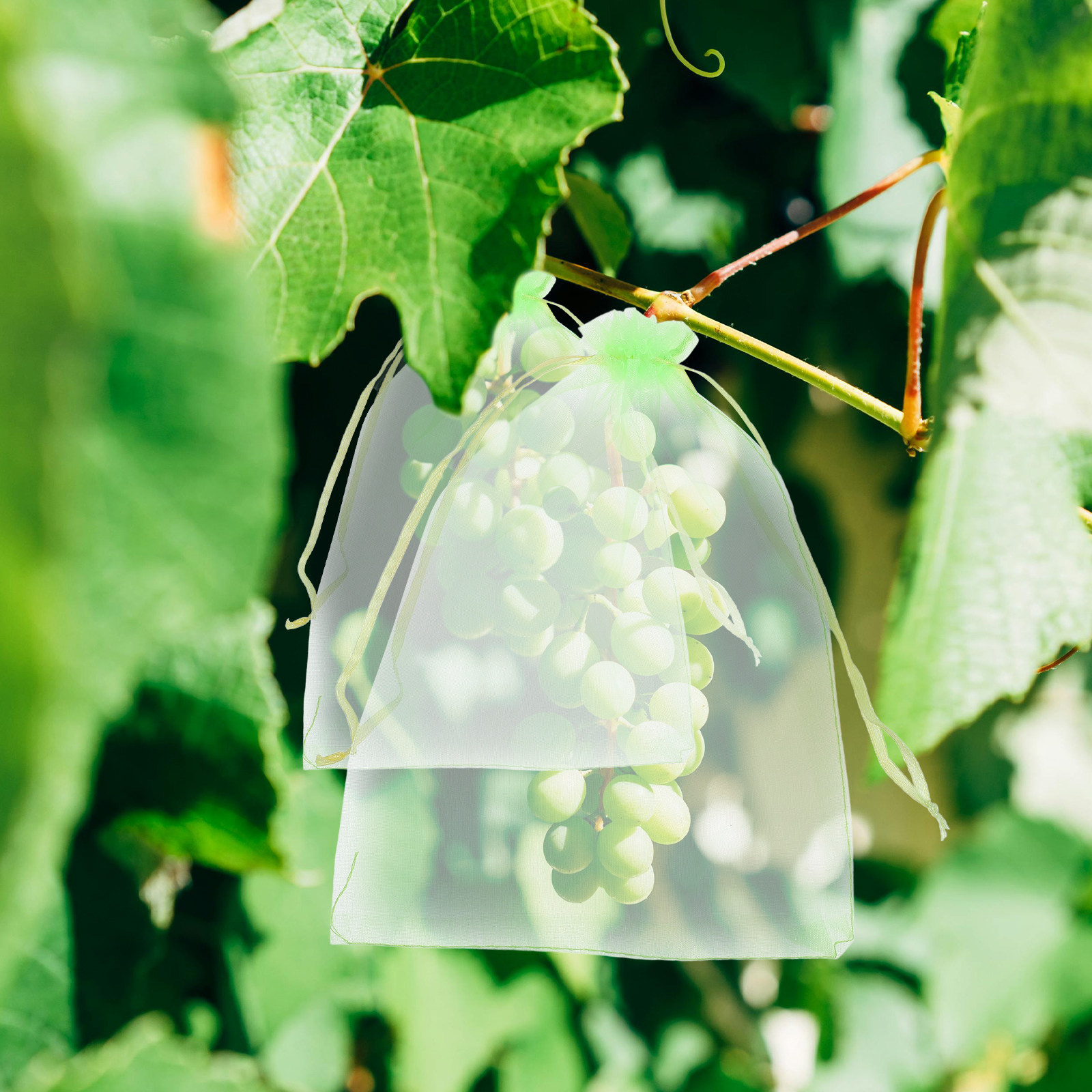 30 szt. siatek ochronnych na o – Garden Netting Cover recenzja i cena