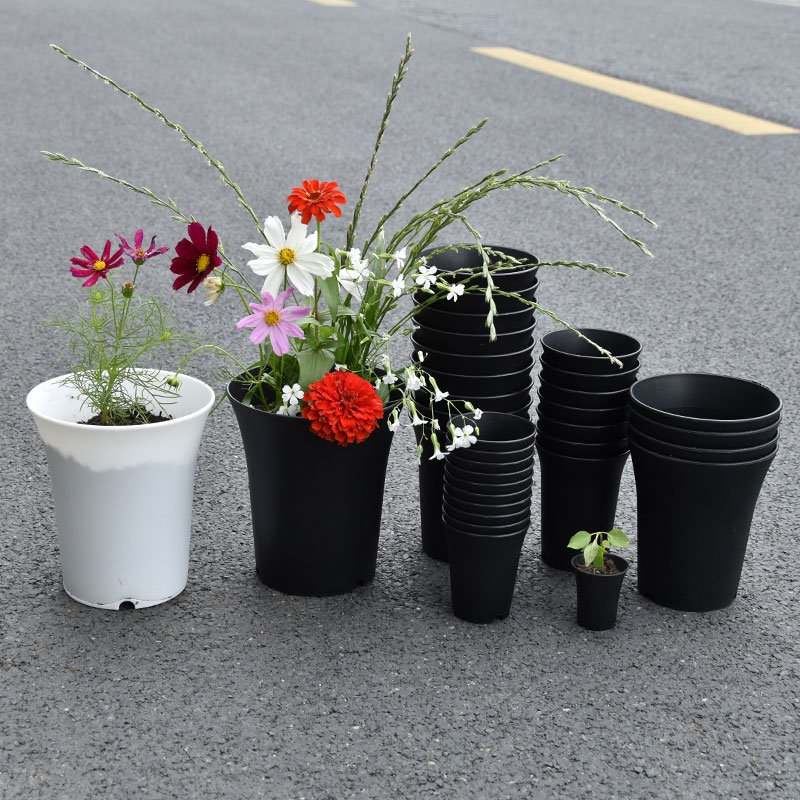 10 sztuk zagęszczona doniczka  – Gardening Tools Green recenzja i cena
