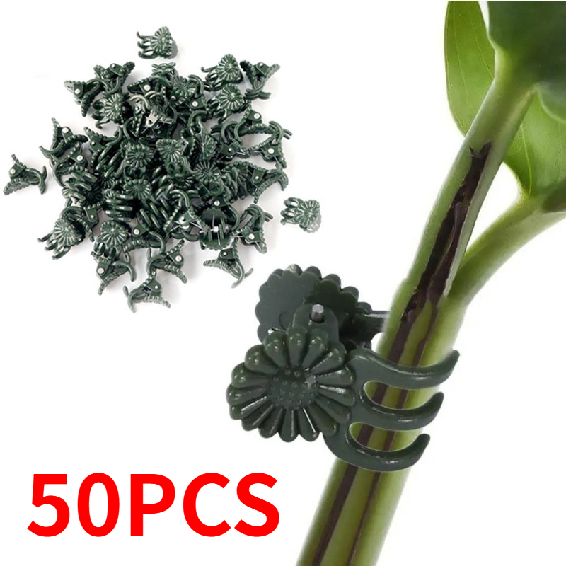 50 szt. 5-ramiennych ciemnozie – Gardening Tools Green recenzja i cena
