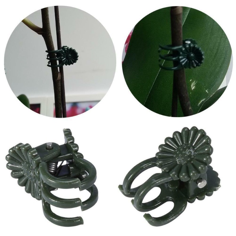 50 szt. 5-ramiennych ciemnozie – Gardening Tools Green recenzja i cena