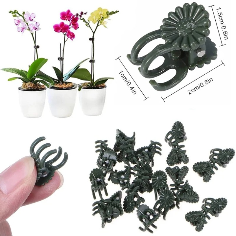 50 szt. 5-ramiennych ciemnozie – Gardening Tools Green recenzja i cena