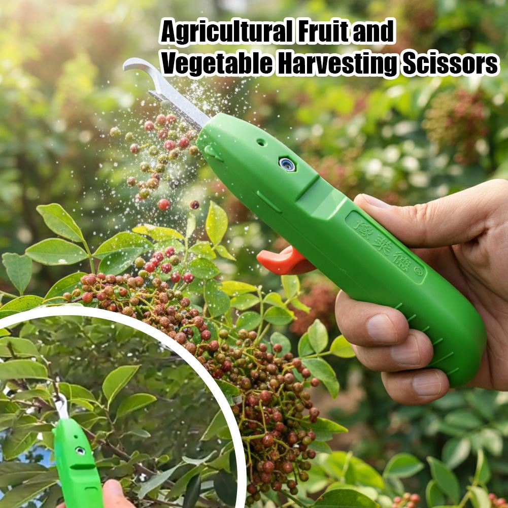 Nożyce do zbioru owoców i warz – Gardening Tools Scissors recenzja i cena