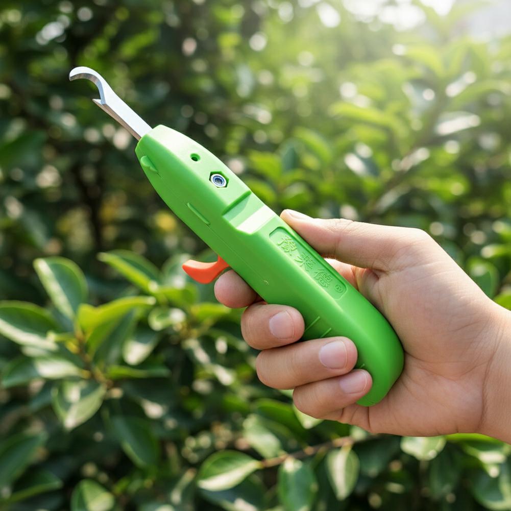 Nożyce do zbioru owoców i warz – Gardening Tools Scissors recenzja i cena