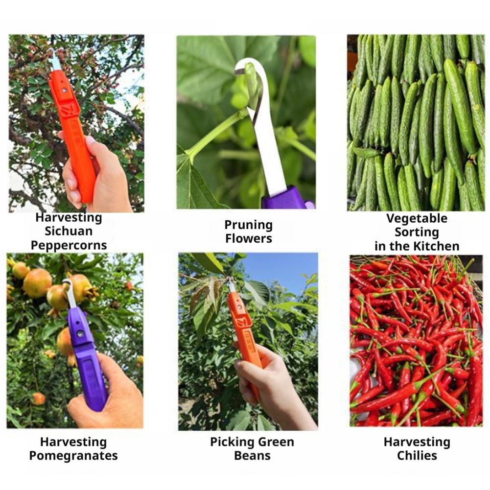 Ręczne narzędzie do zbierania  – Gardening Tools Cutter recenzja i cena