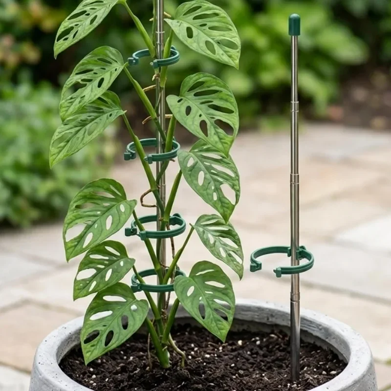 5/1 SZT. Wysuwane pierścienie  – Gardening Tools Green recenzja i cena