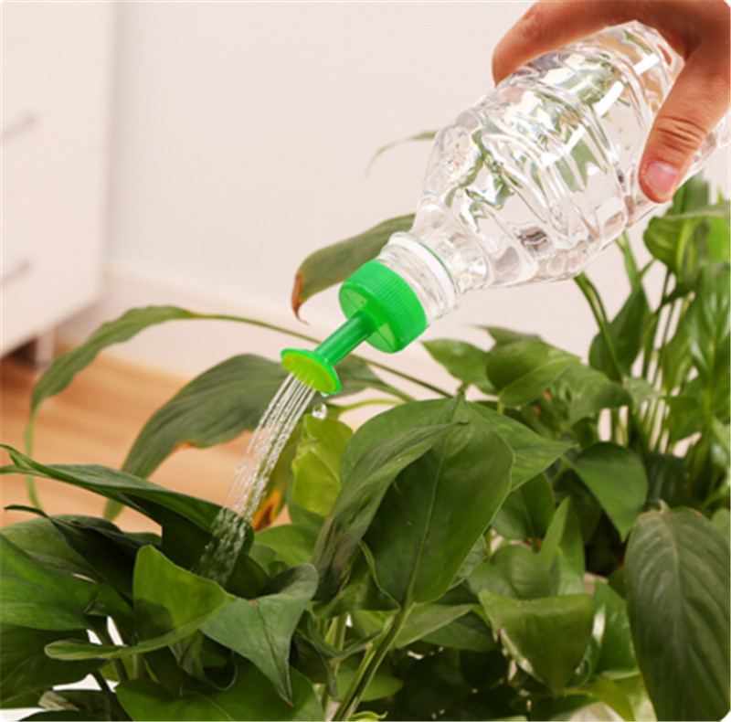 Trwałe plastikowe puszki na wo – Gardening Tools For Sale recenzja i cena