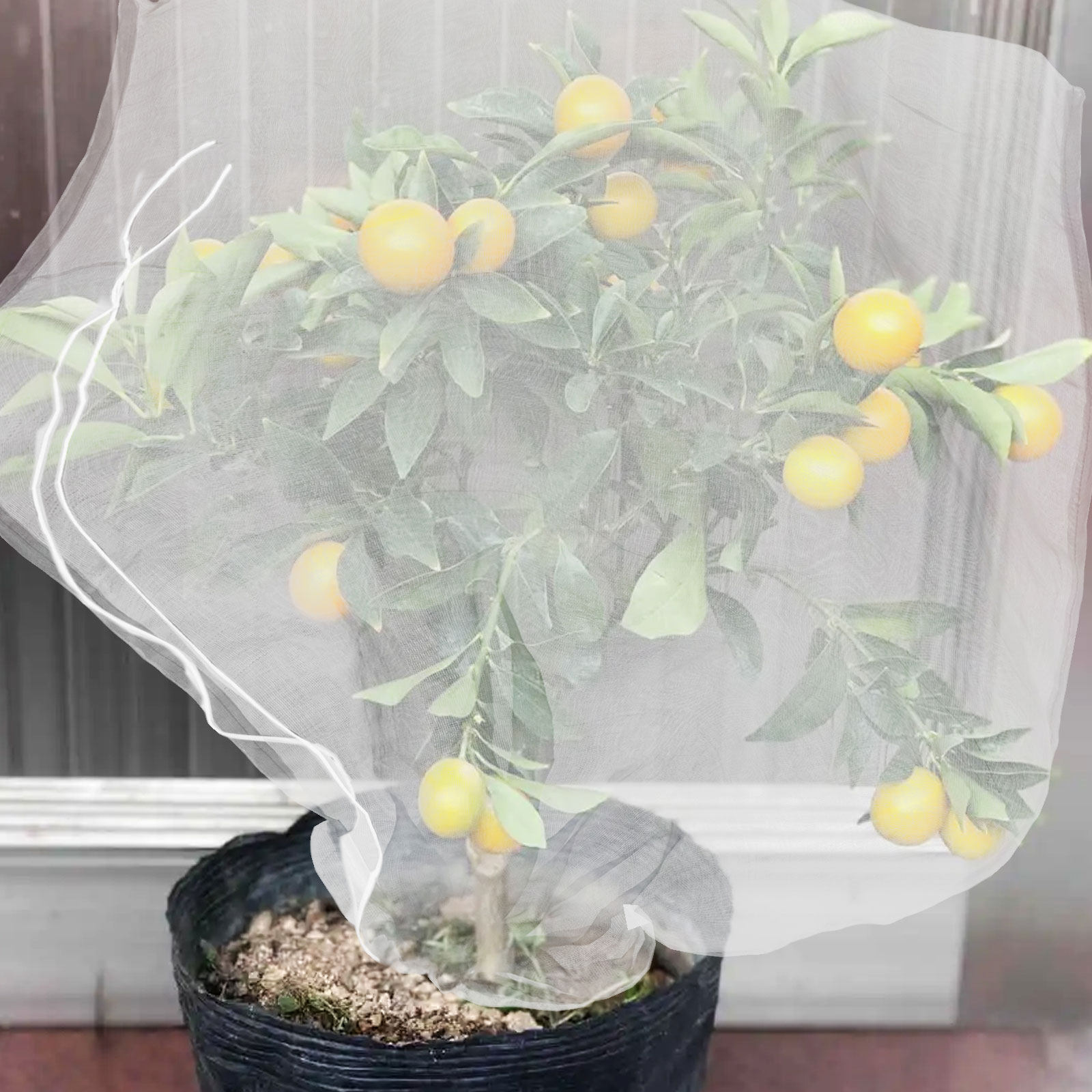8 szt. siatek ochronnych na ro – Garden Netting Cover recenzja i cena