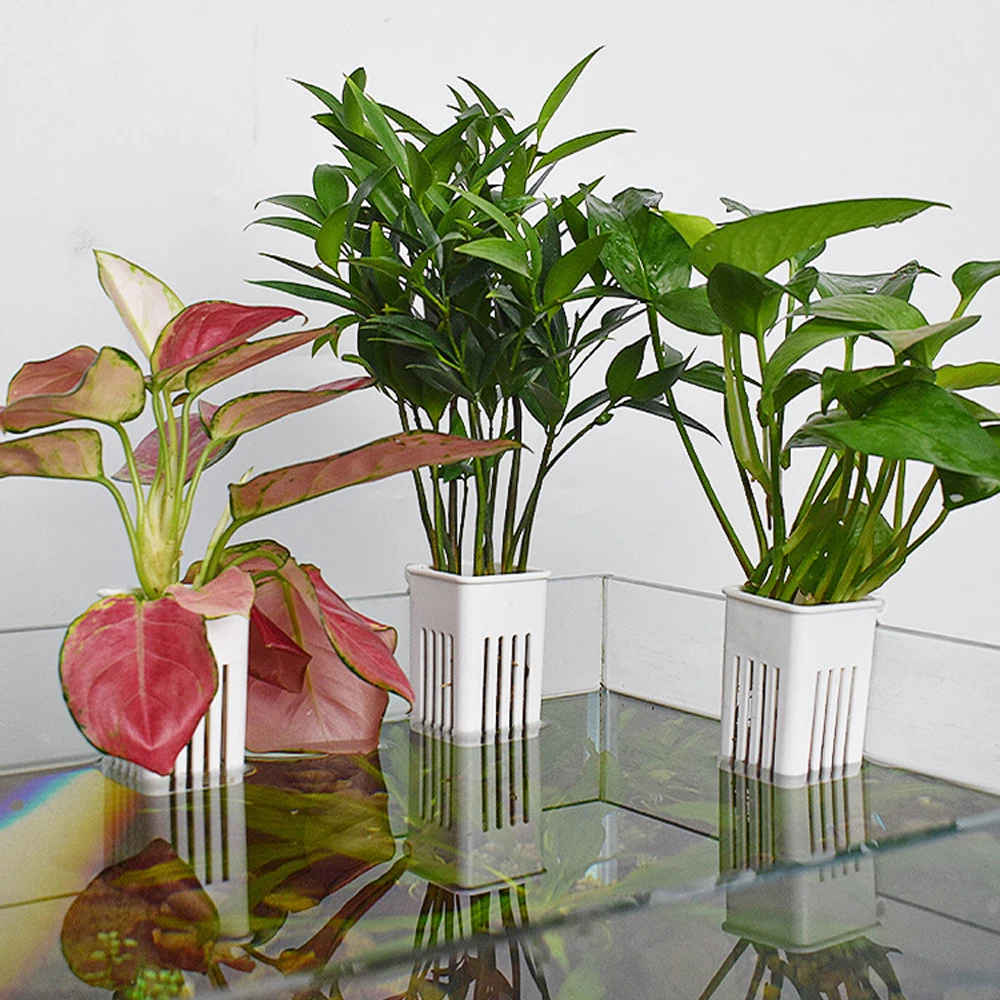 1 szt. Sadzarki hydroponiczne  – Hanging Planter Basket recenzja i cena
