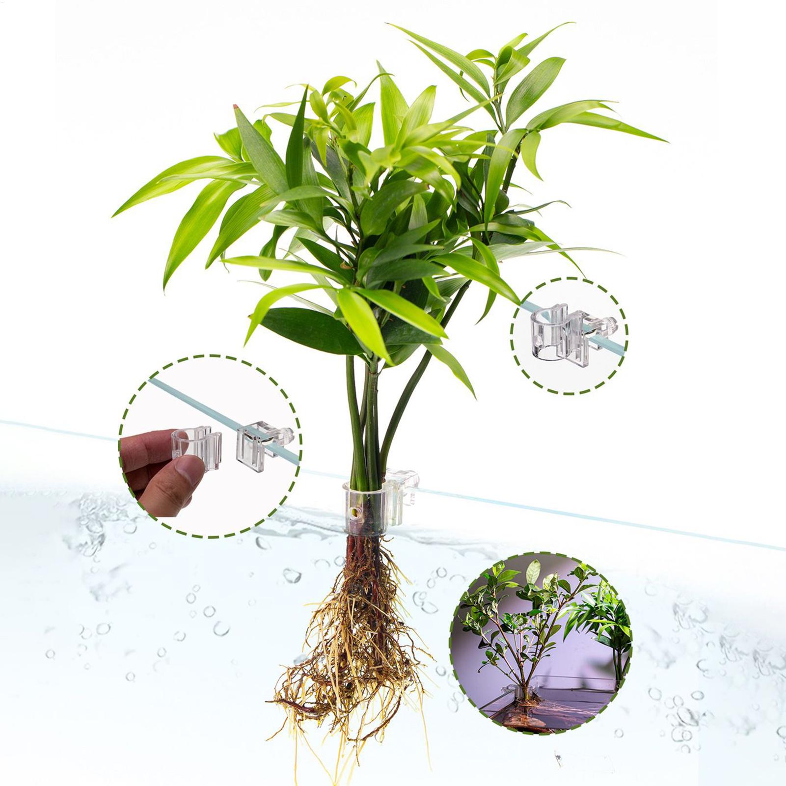 Kosz na rośliny akwariowe Prze – Hanging Planter Basket recenzja i cena