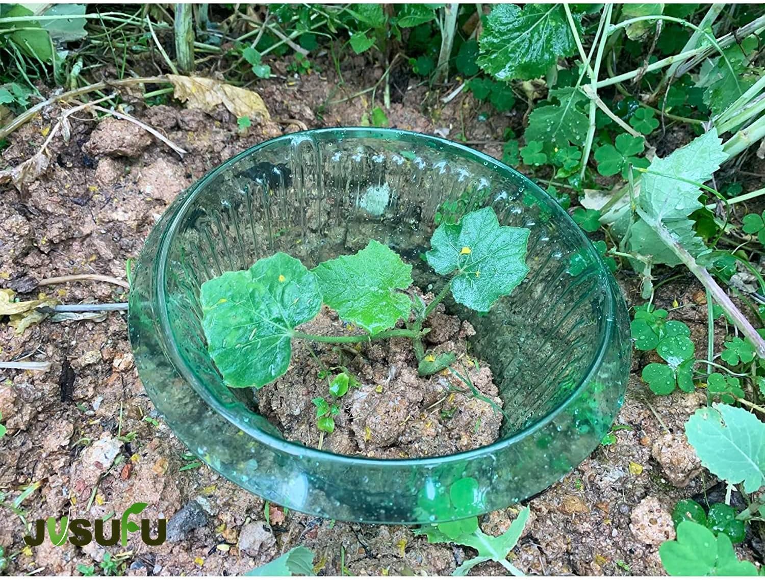 1/30 szt. Pierścienie ochronne – Gardening Tools Green recenzja i cena