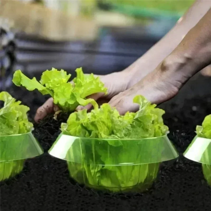 Ochrona roślin przed ślimakami – Gardening Tools Green recenzja i cena