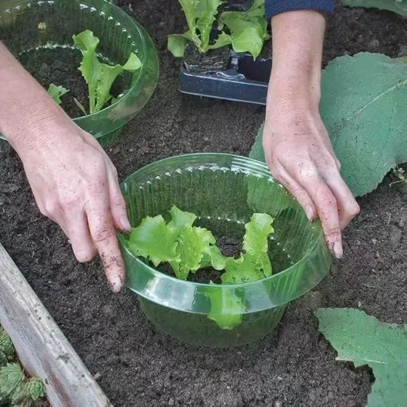 Ochrona roślin przed ślimakami – Gardening Tools Green recenzja i cena