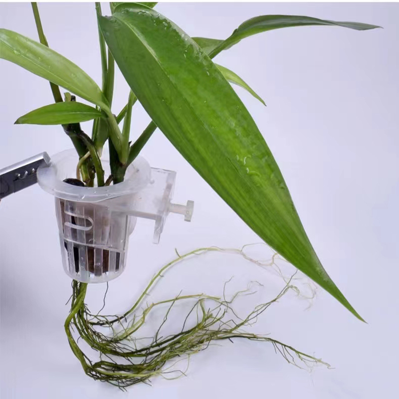 Kosz do sadzenia akwarium Hydr – Hanging Planter Basket recenzja i cena